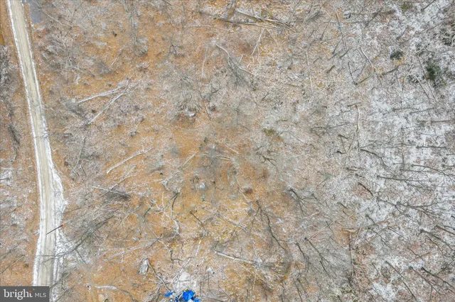 a view of a dry yard