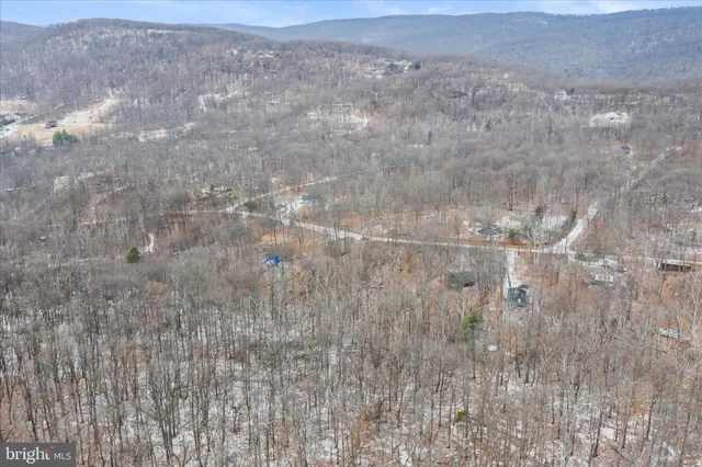 a view of a dry yard