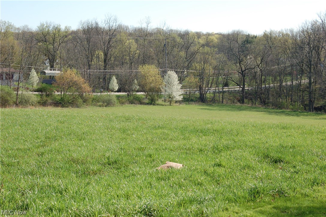 Ryan Road Medina, OH 44256 - Photo 5 of 15 Gallery Image 5