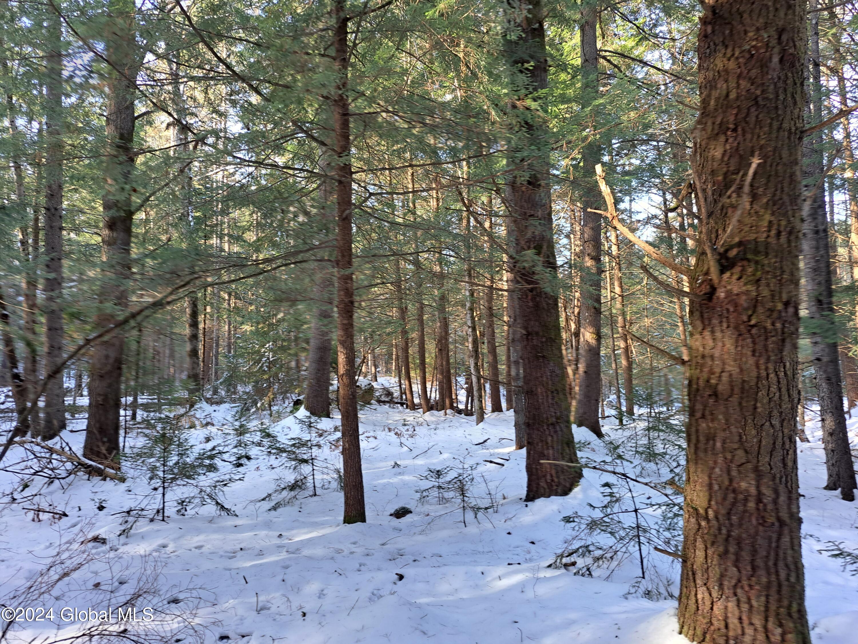 L17 Rice Road Northville, NY 12134 - Photo 15 of 51 15 Level Land Near Stream