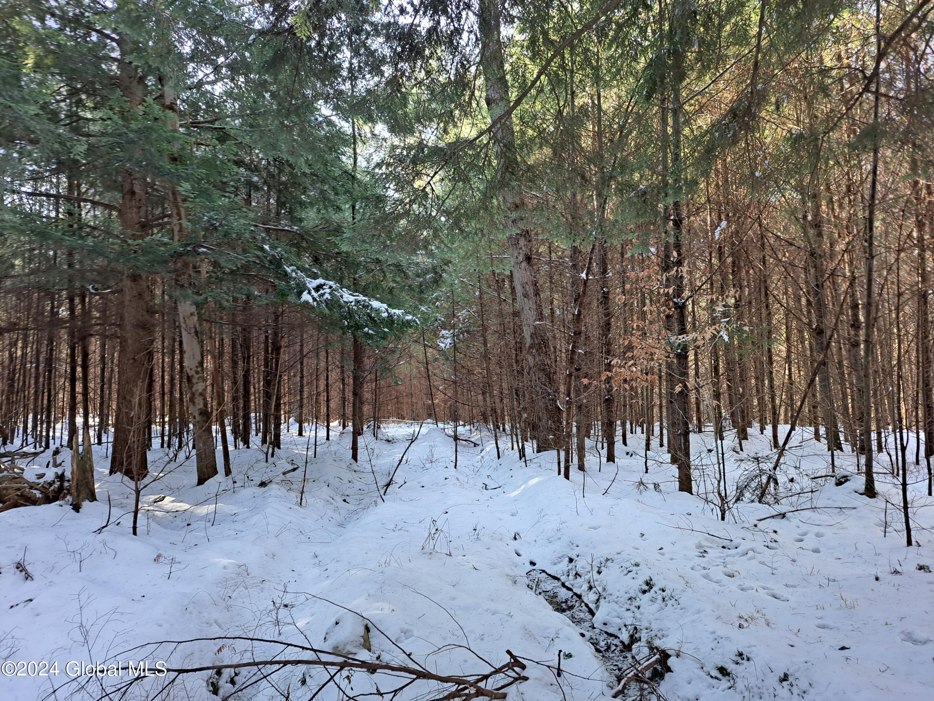 L17 Rice Road Northville, NY 12134 - Photo 16 of 51 16 Logging Trail