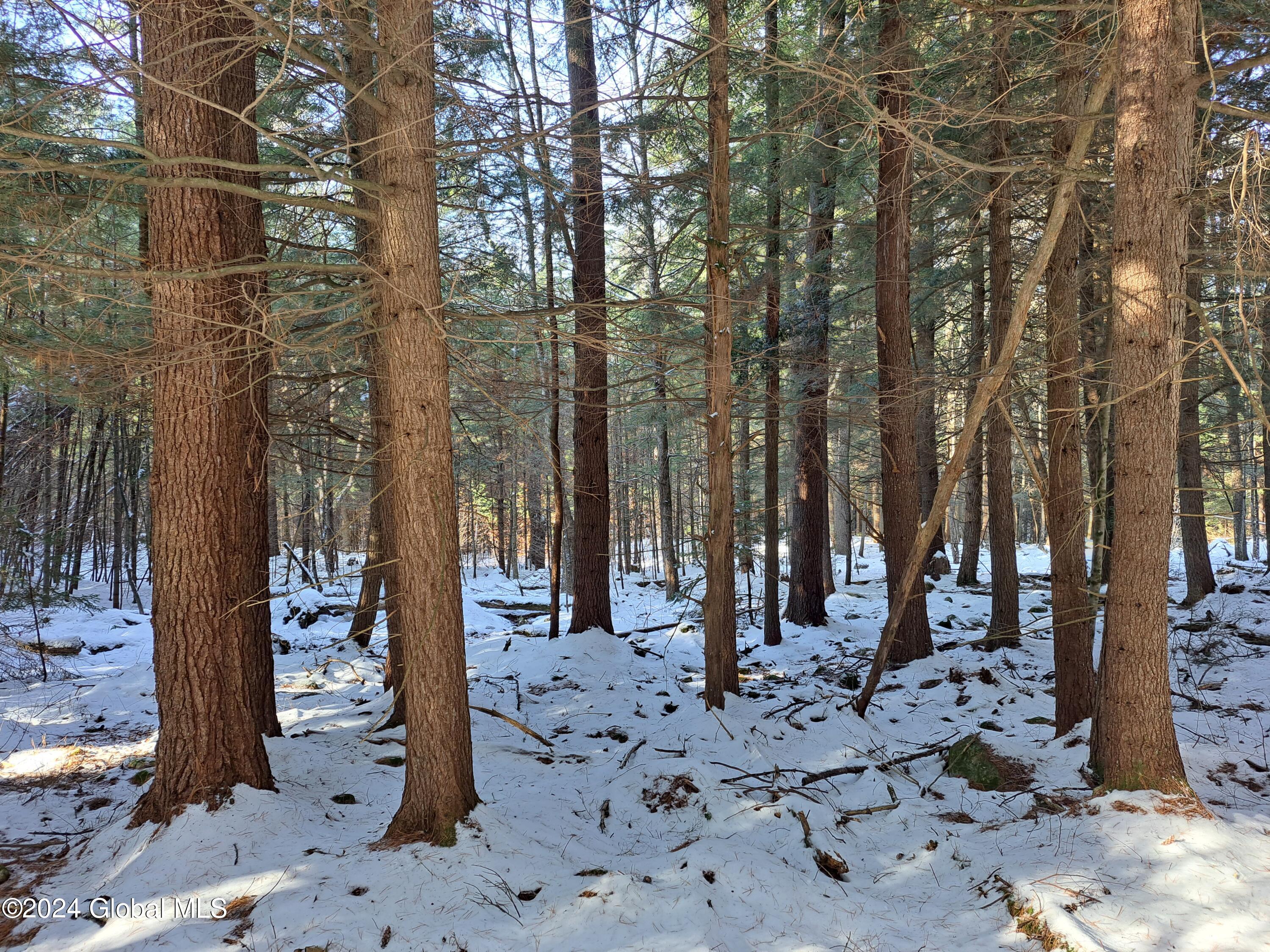 L17 Rice Road Northville, NY 12134 - Photo 17 of 51 17 Mature Hemlock Timber
