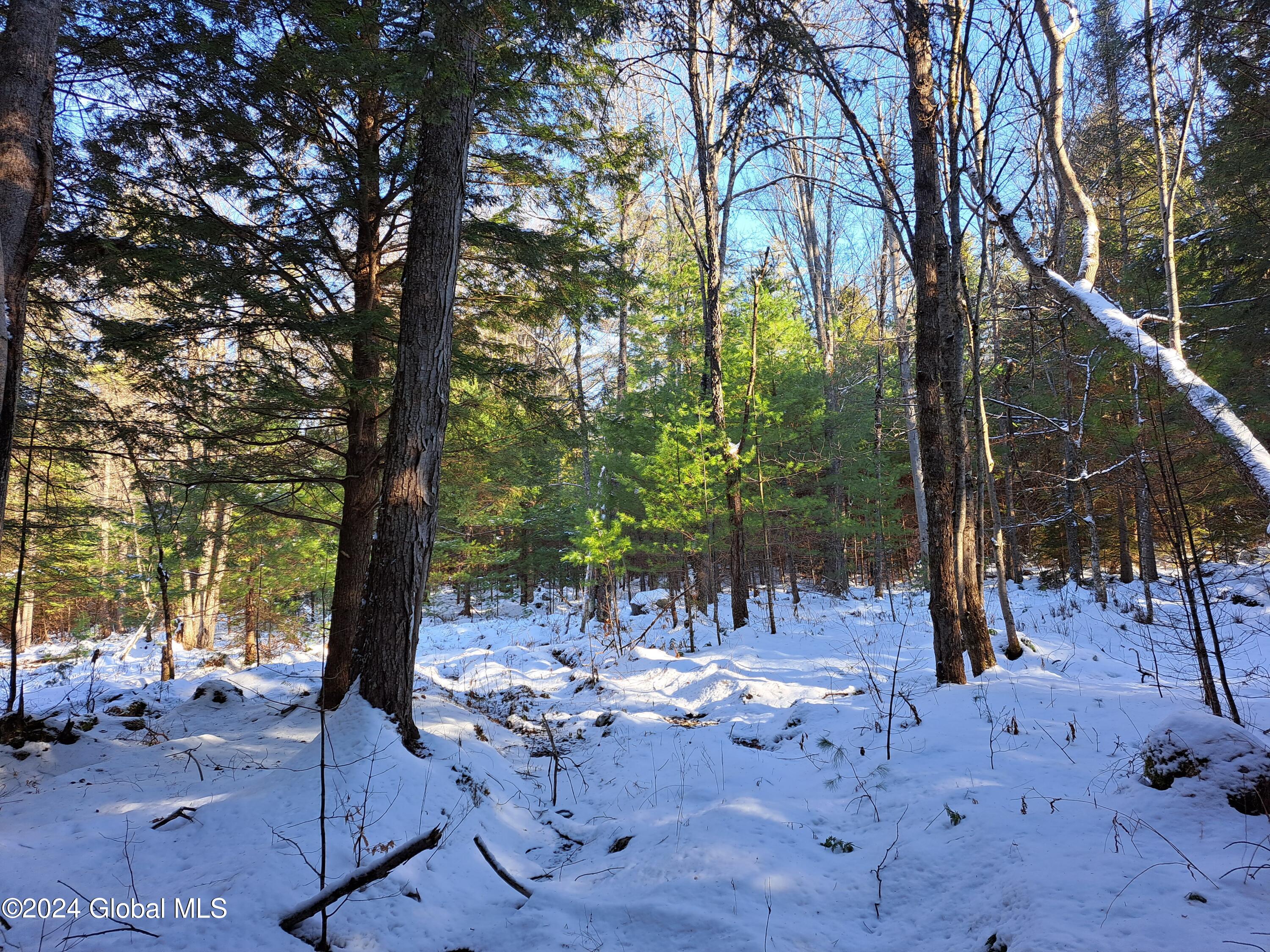 L17 Rice Road Northville, NY 12134 - Photo 23 of 51 22 Old Logging Trail