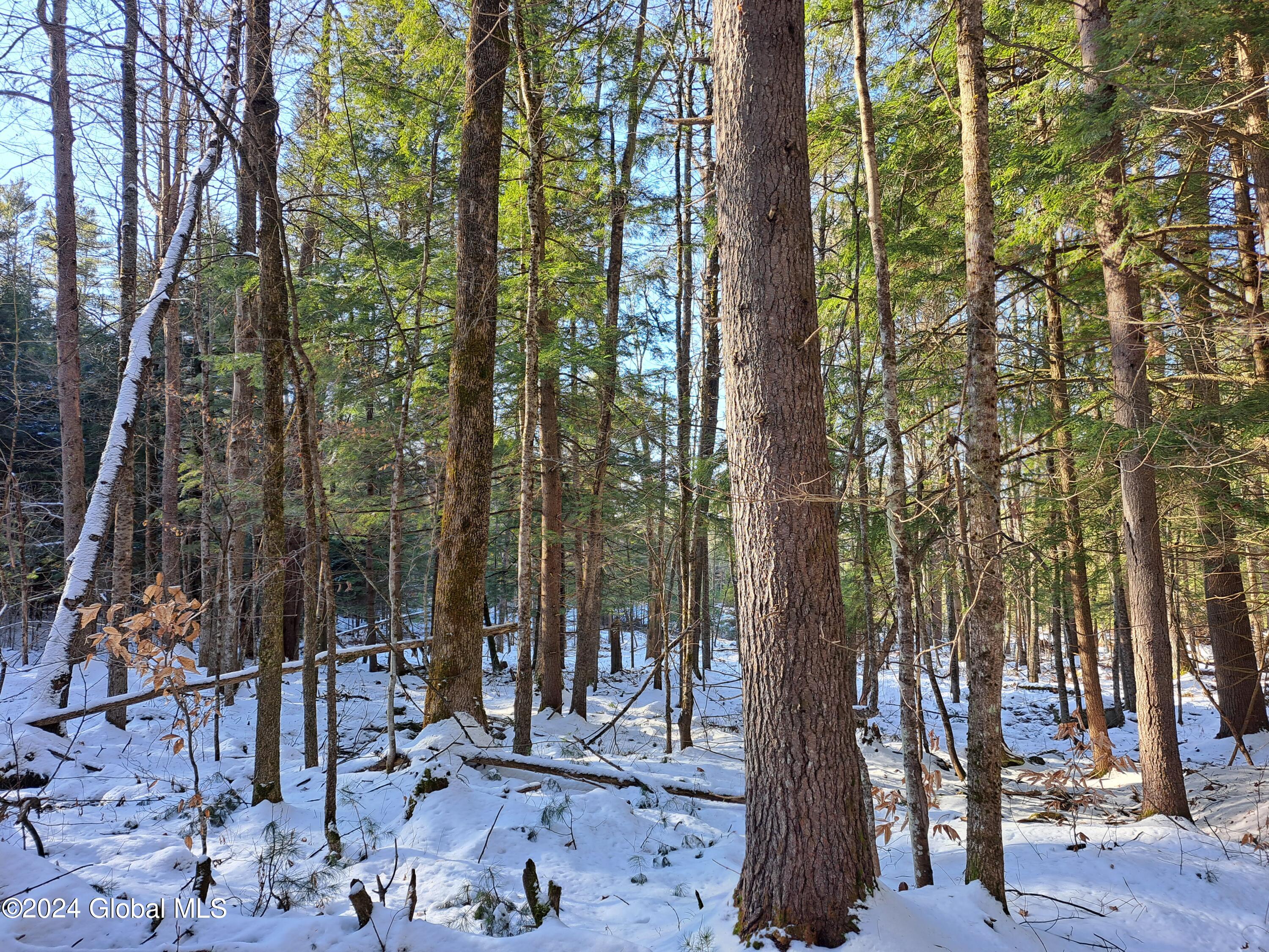 L17 Rice Road Northville, NY 12134 - Photo 24 of 51 23 Mixed Timber
