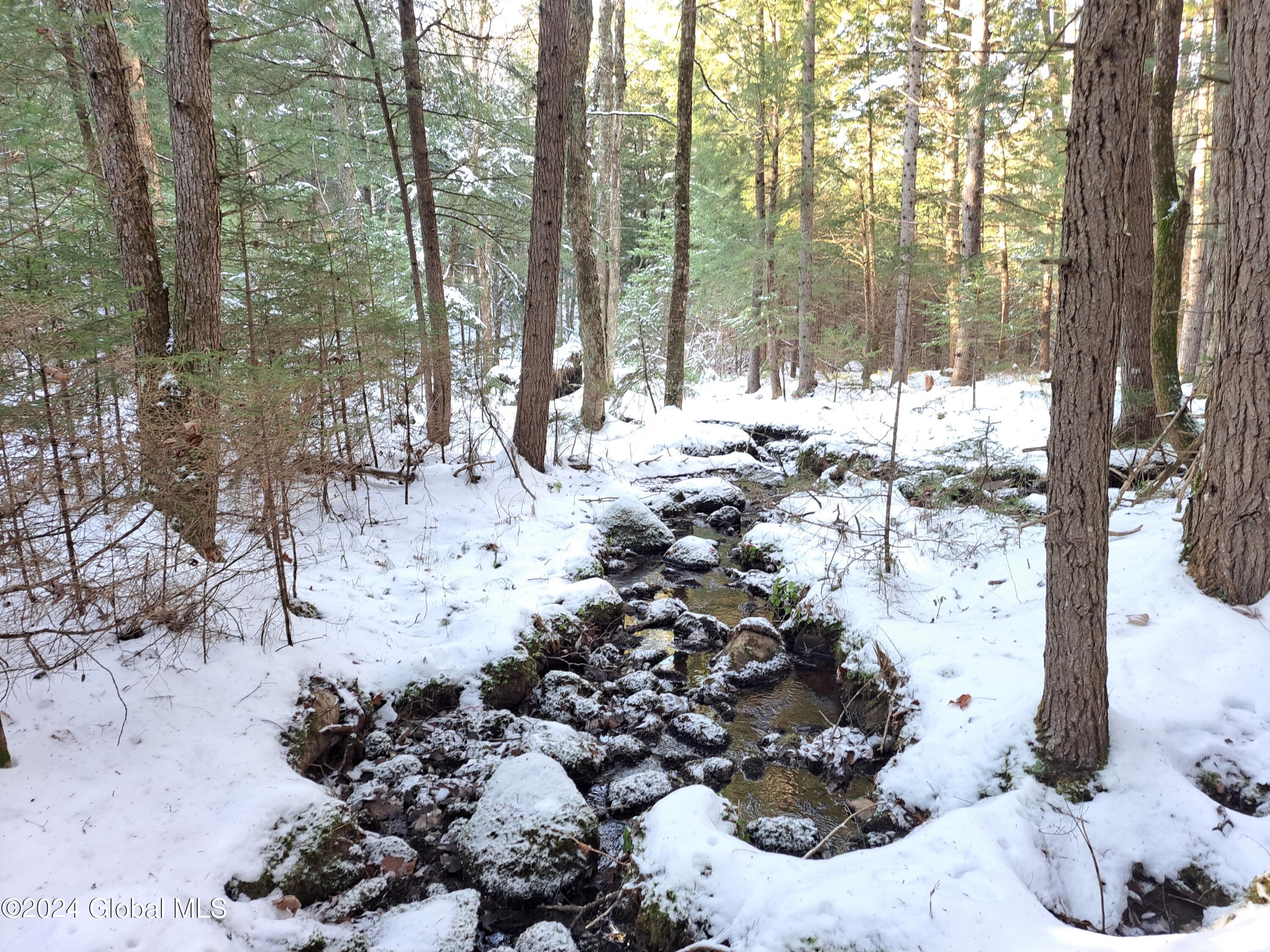 L17 Rice Road Northville, NY 12134 - Photo 25 of 51 23 Perennial Stream