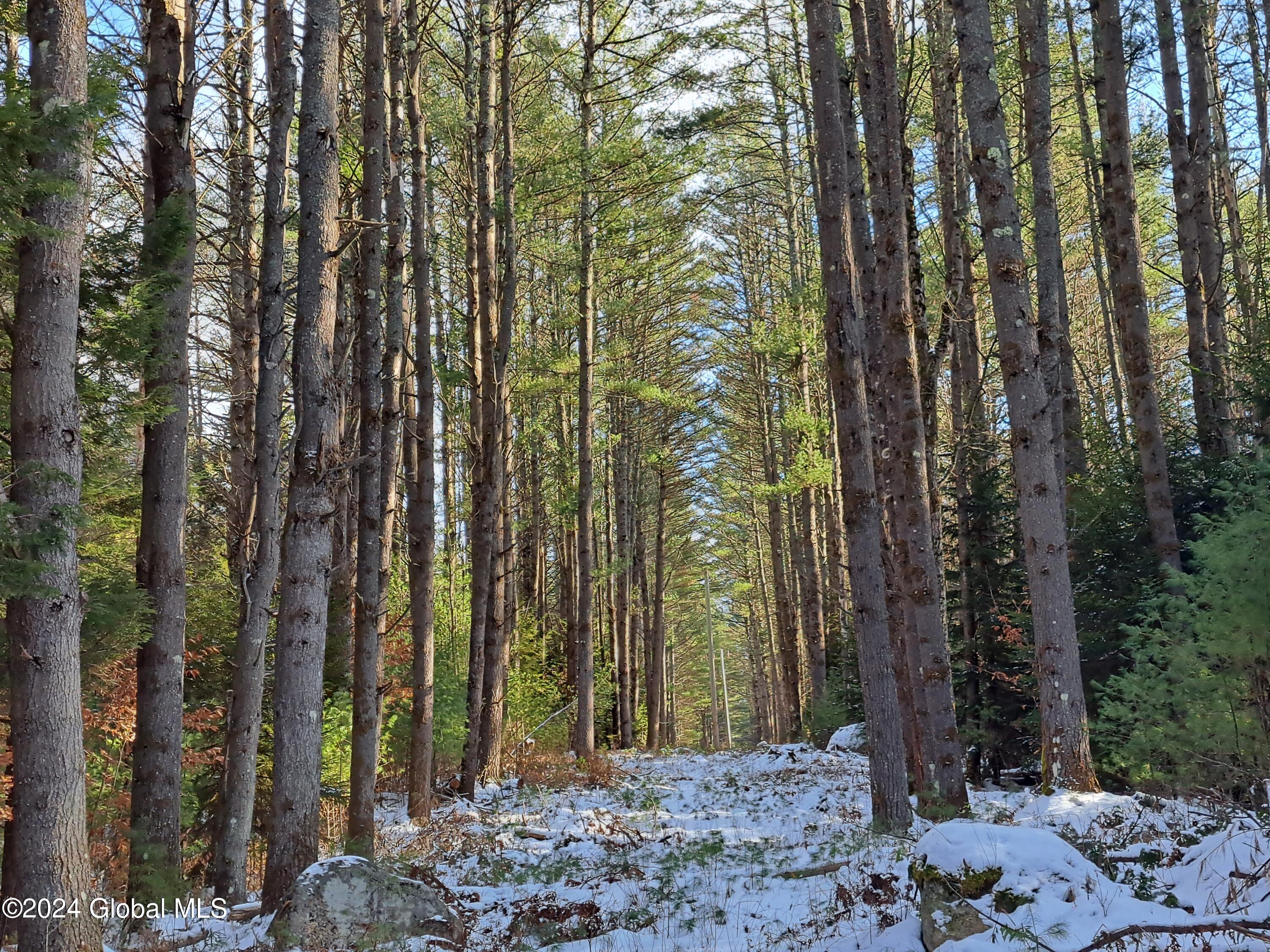 L17 Rice Road Northville, NY 12134 - Photo 26 of 51 24 Power Line Right of Way