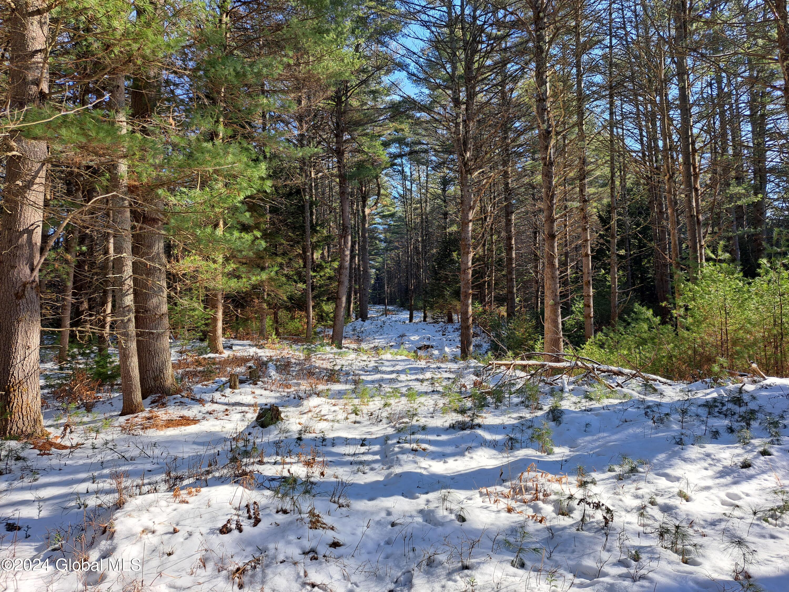 L17 Rice Road Northville, NY 12134 - Photo 27 of 51 25 Powerline Right of Way