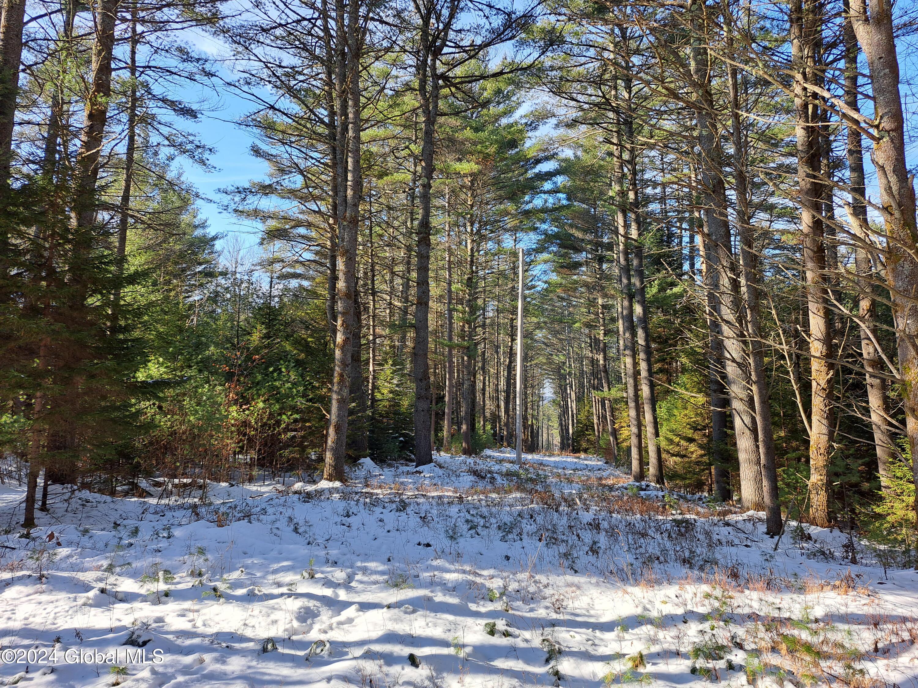 L17 Rice Road Northville, NY 12134 - Photo 28 of 51 26 Powerline Right of Way