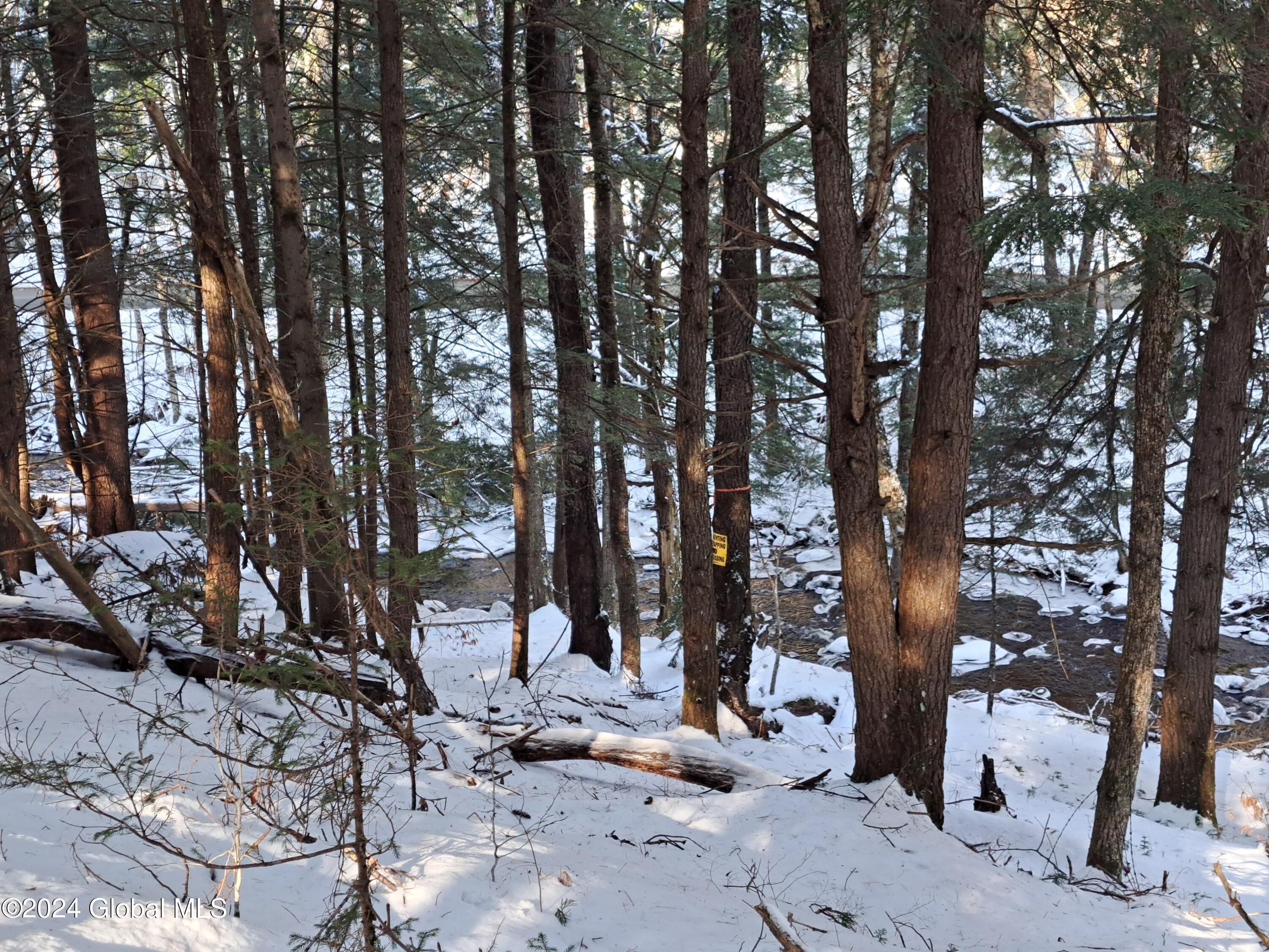 L17 Rice Road Northville, NY 12134 - Photo 3 of 51 03 Bear Creek and Bear Creek Road