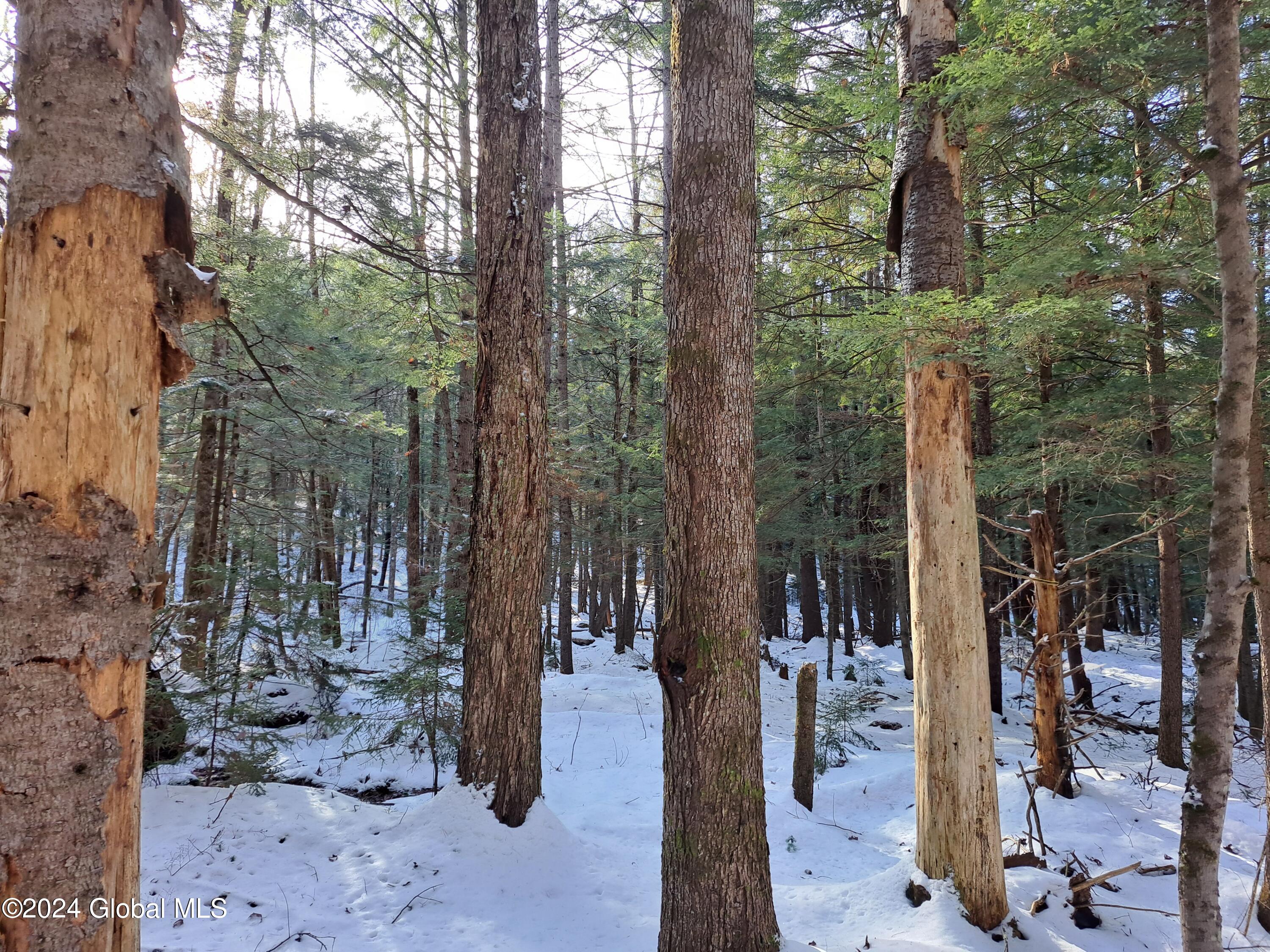 L17 Rice Road Northville, NY 12134 - Photo 32 of 51 30 Red Maple Timber
