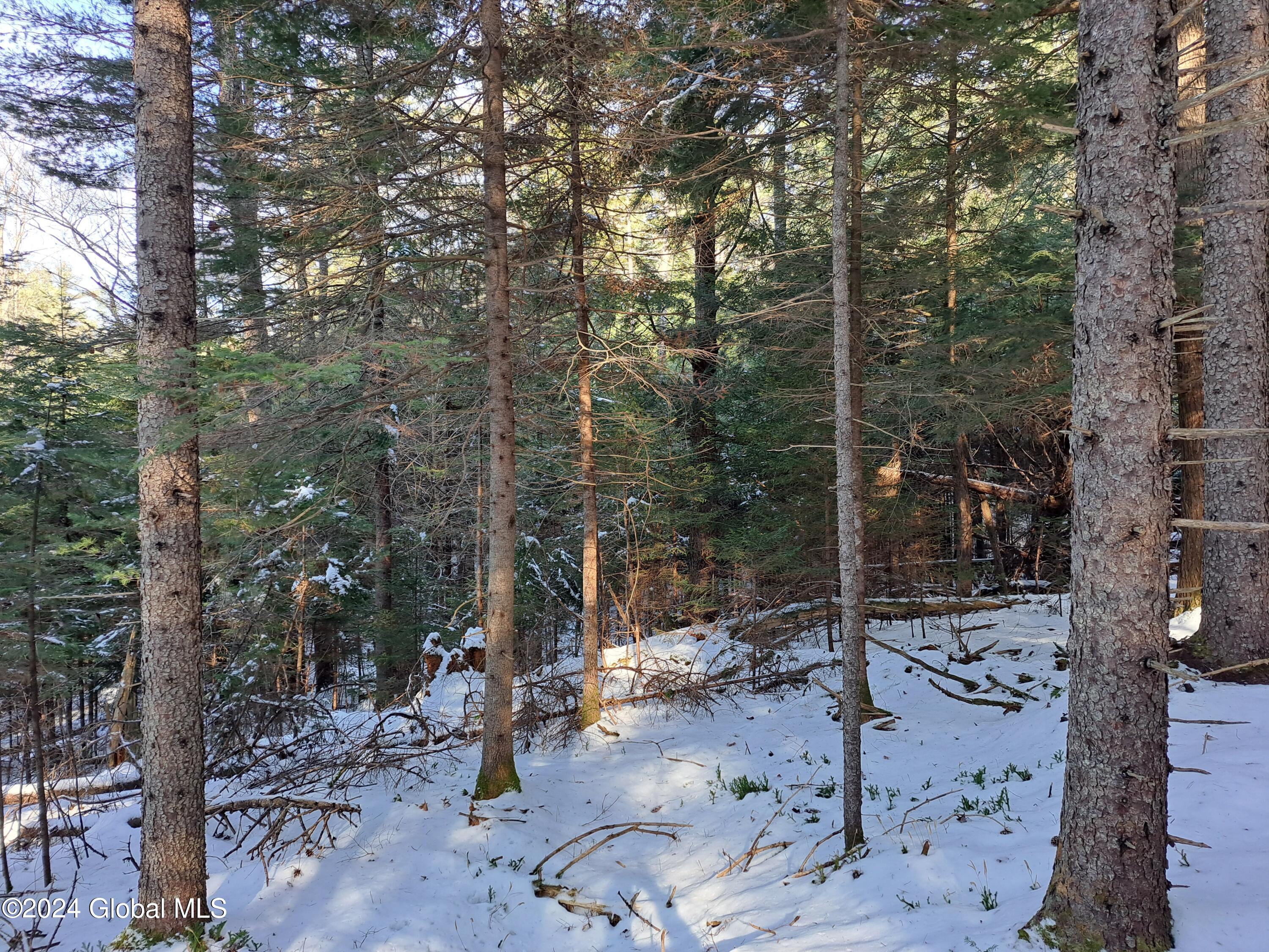 L17 Rice Road Northville, NY 12134 - Photo 34 of 51 32 Red Spruce Timber