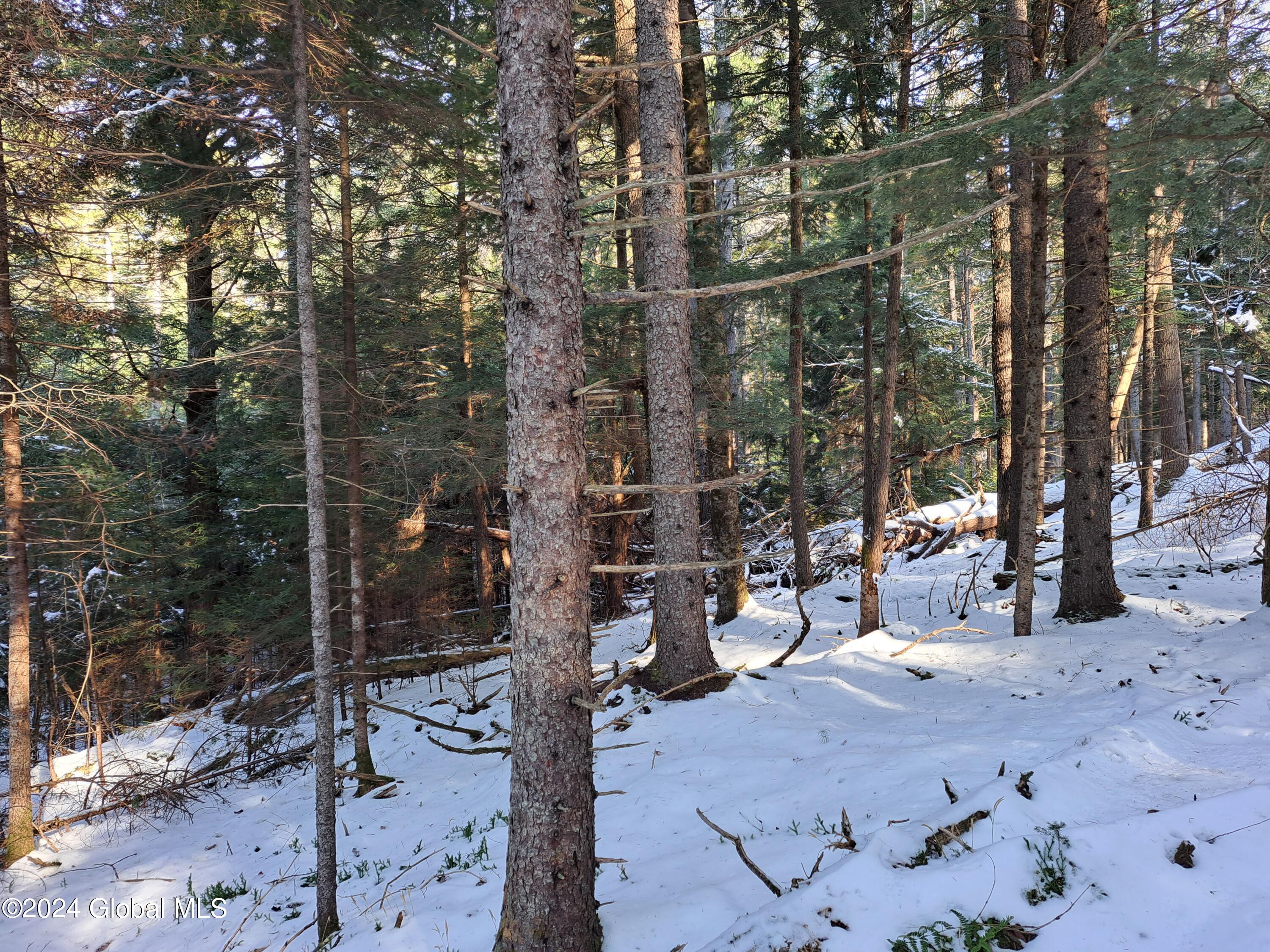 L17 Rice Road Northville, NY 12134 - Photo 35 of 51 33 Red Spruce