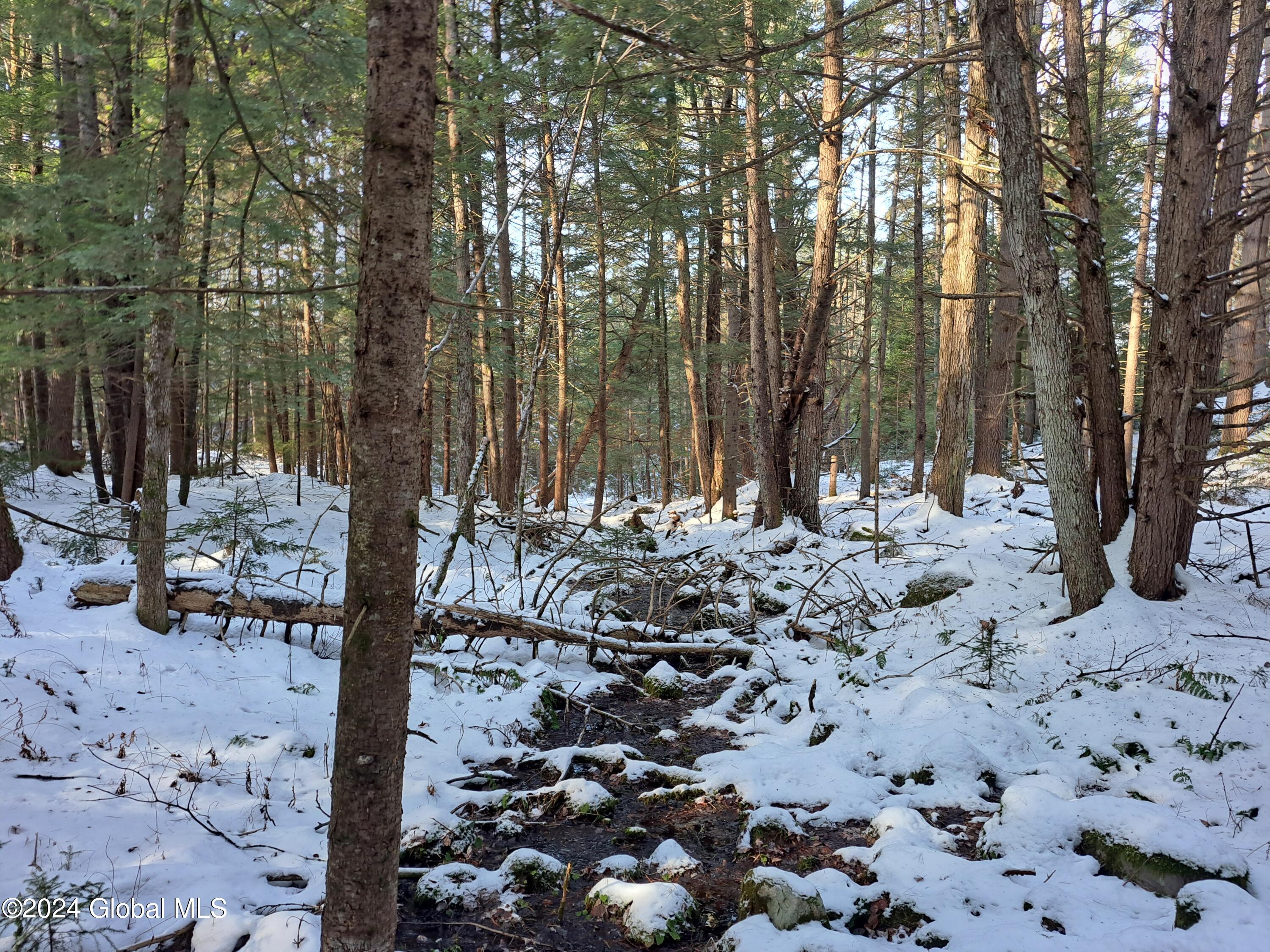 L17 Rice Road Northville, NY 12134 - Photo 36 of 51 34 Stream