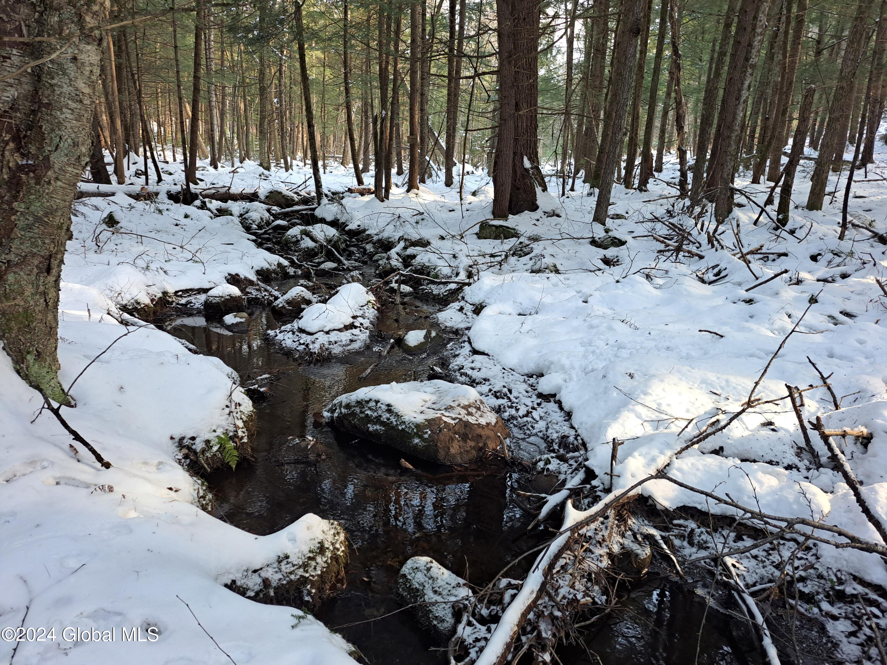 L17 Rice Road Northville, NY 12134 - Photo 38 of 51 36 Stream