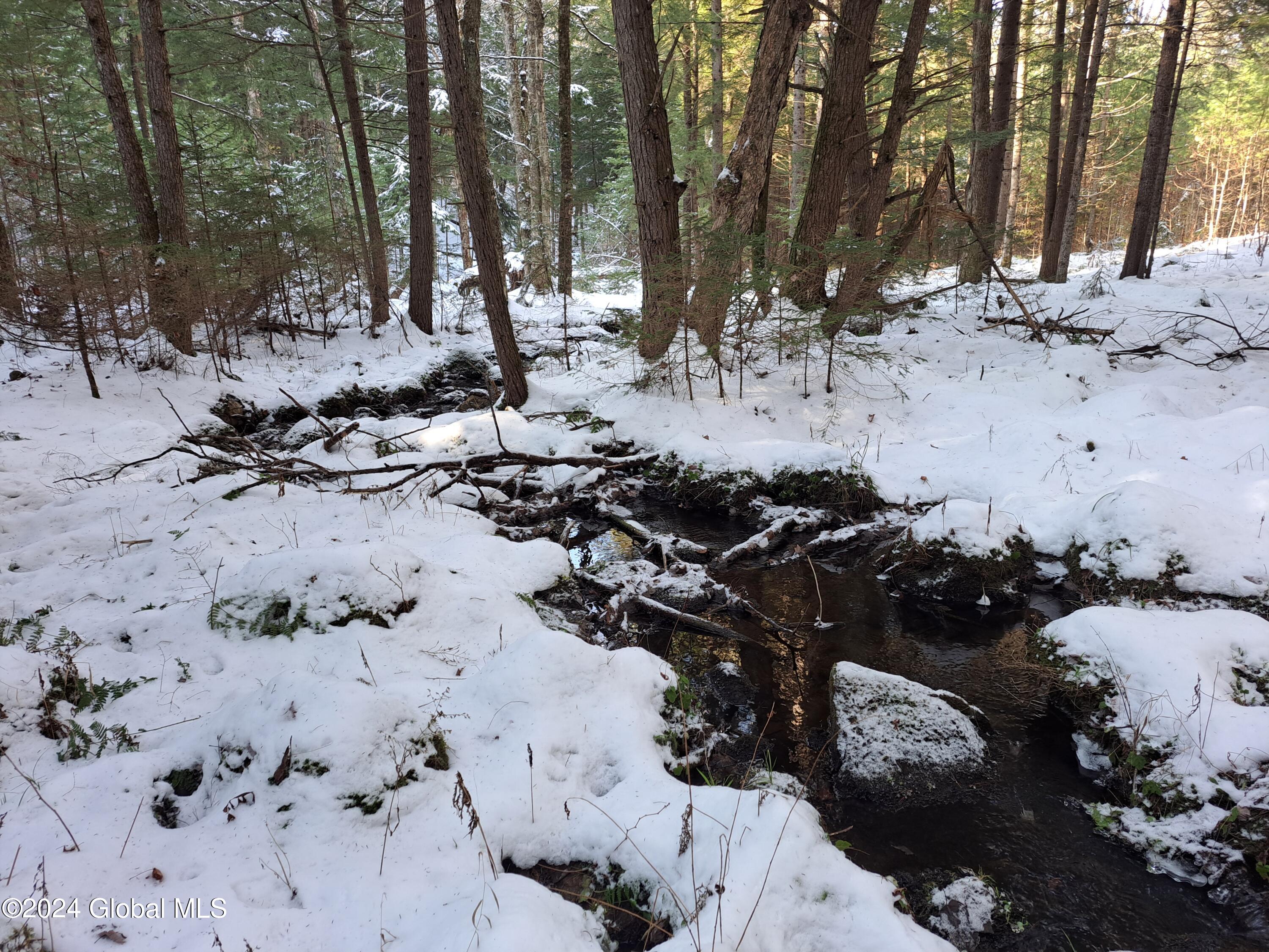 L17 Rice Road Northville, NY 12134 - Photo 39 of 51 37 Stream