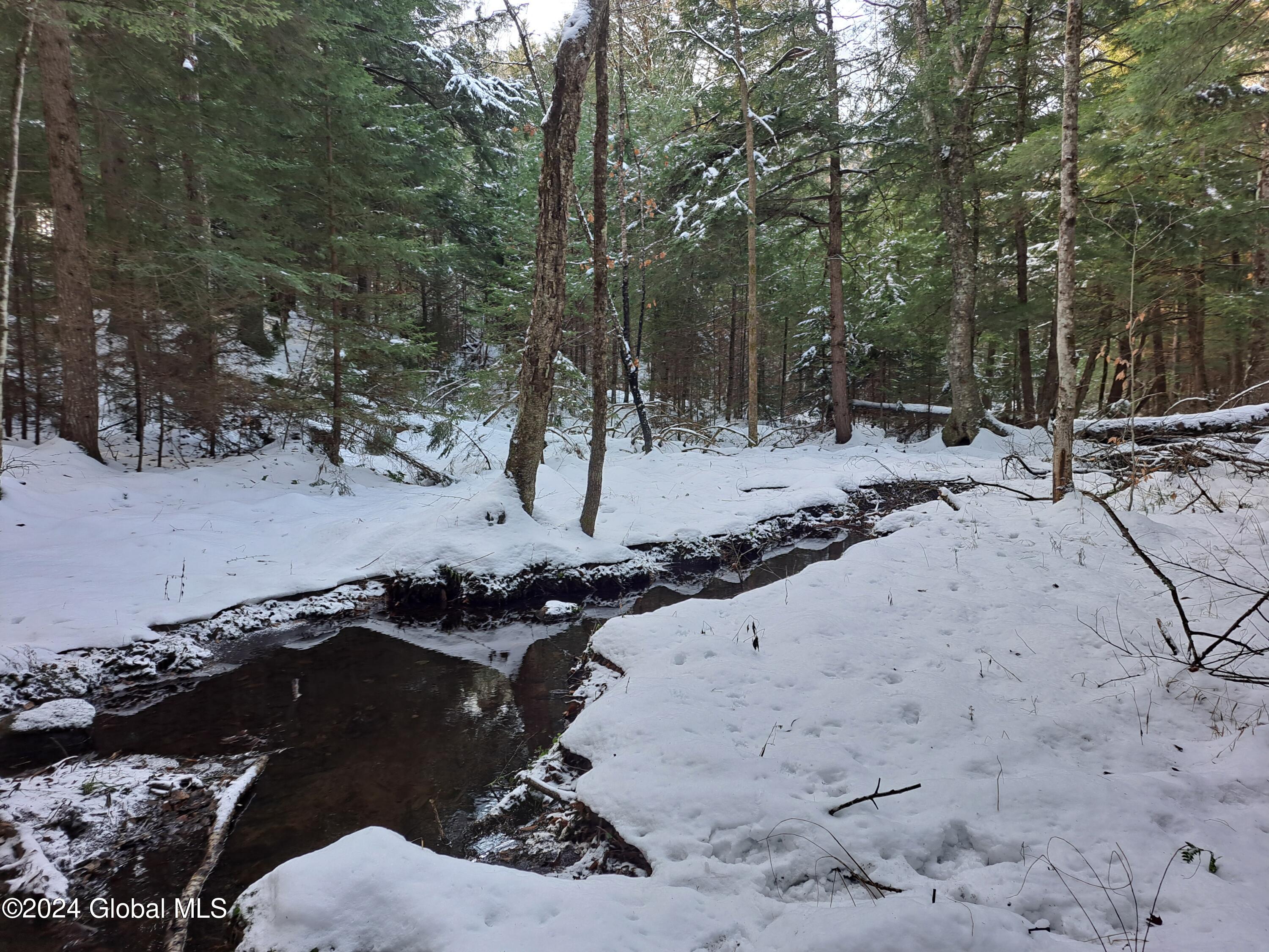 L17 Rice Road Northville, NY 12134 - Photo 40 of 51 38 Stream