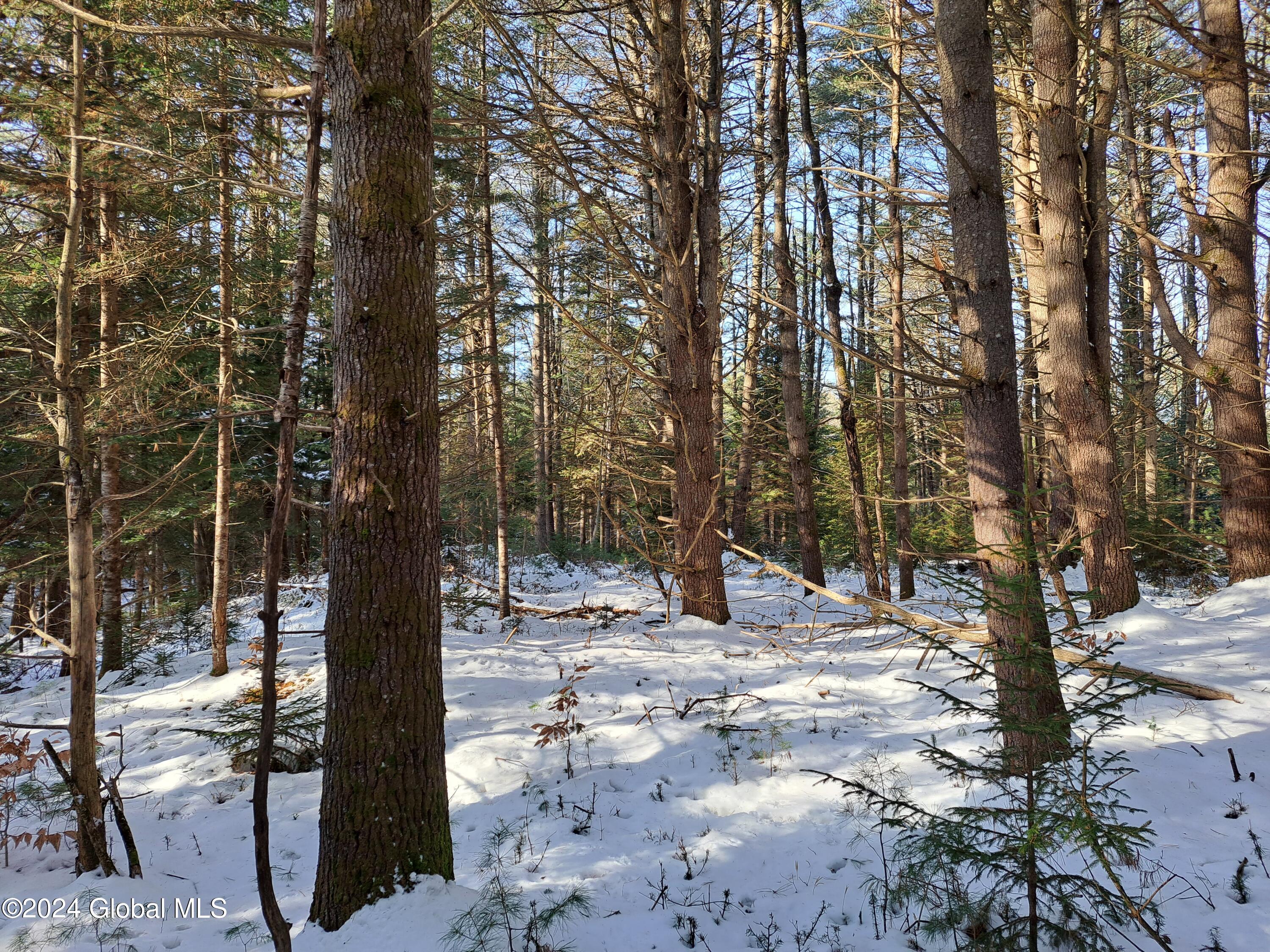 L17 Rice Road Northville, NY 12134 - Photo 44 of 51 44 White Pine Timber