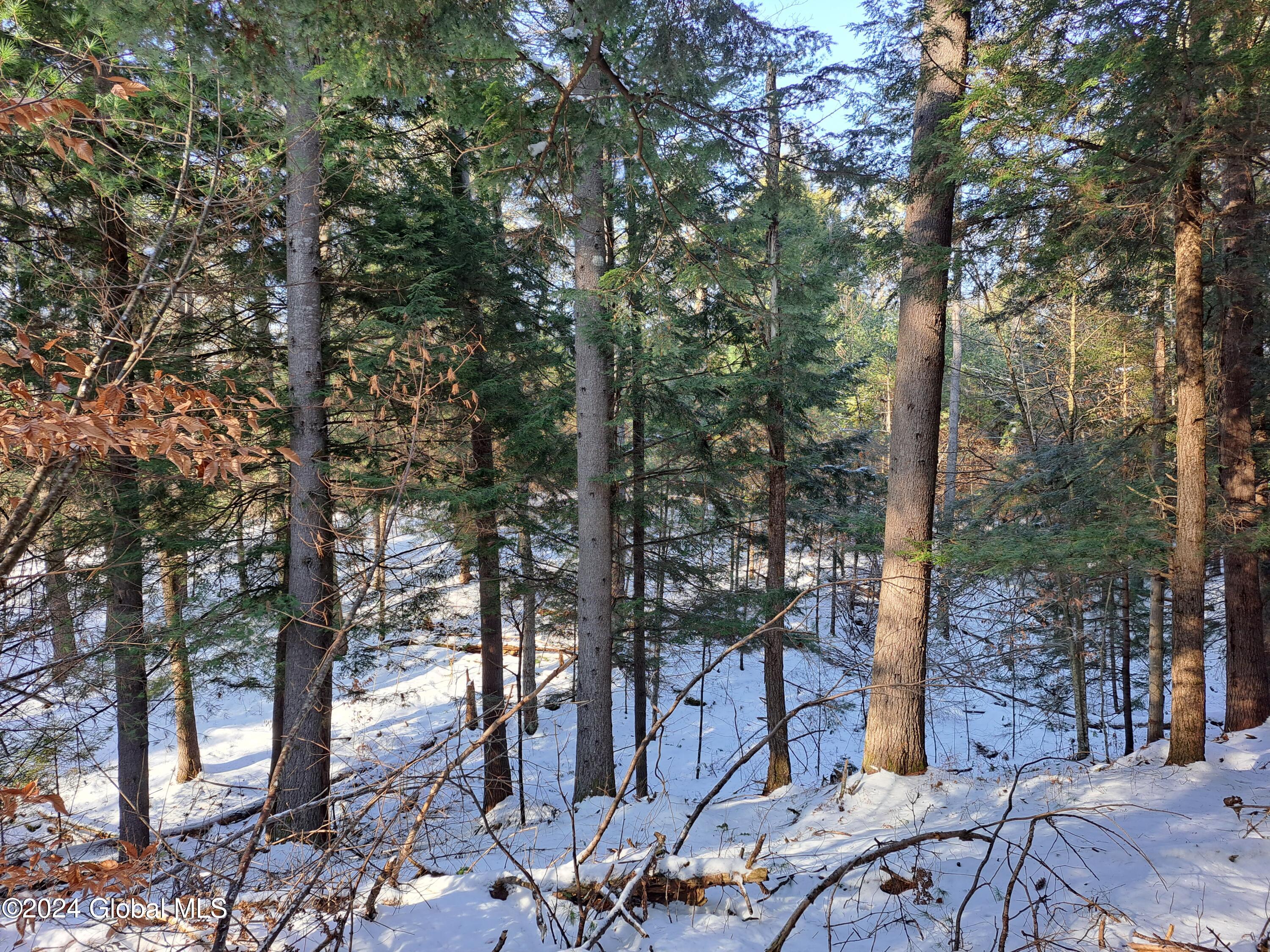 L17 Rice Road Northville, NY 12134 - Photo 45 of 51 45 White Pine Timber