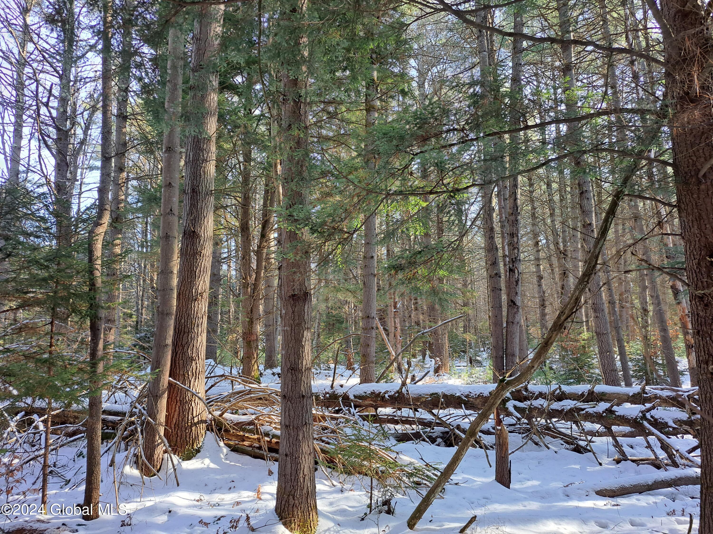 L17 Rice Road Northville, NY 12134 - Photo 48 of 51 48 White Pine Timber
