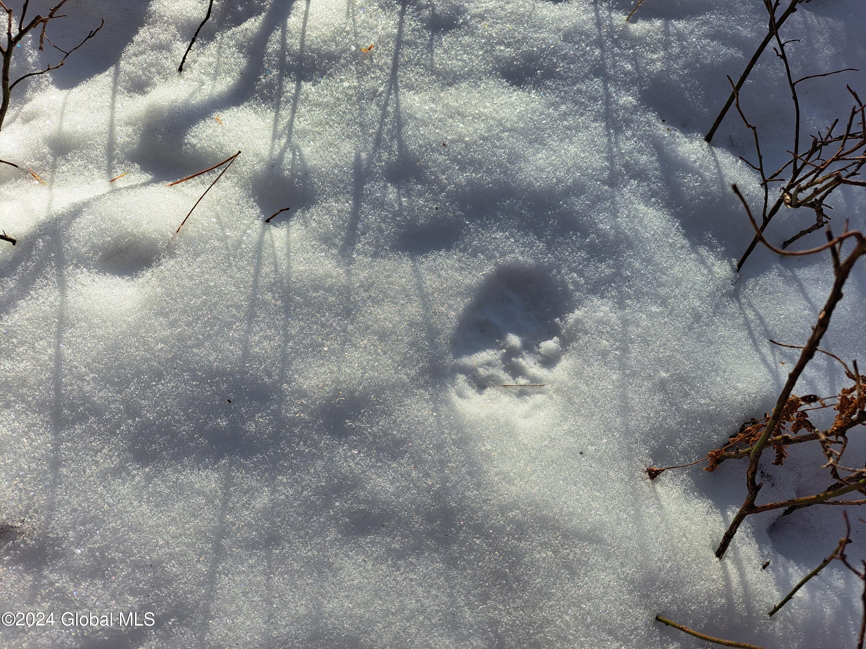 L17 Rice Road Northville, NY 12134 - Photo 6 of 51 06 Coyote Tracks