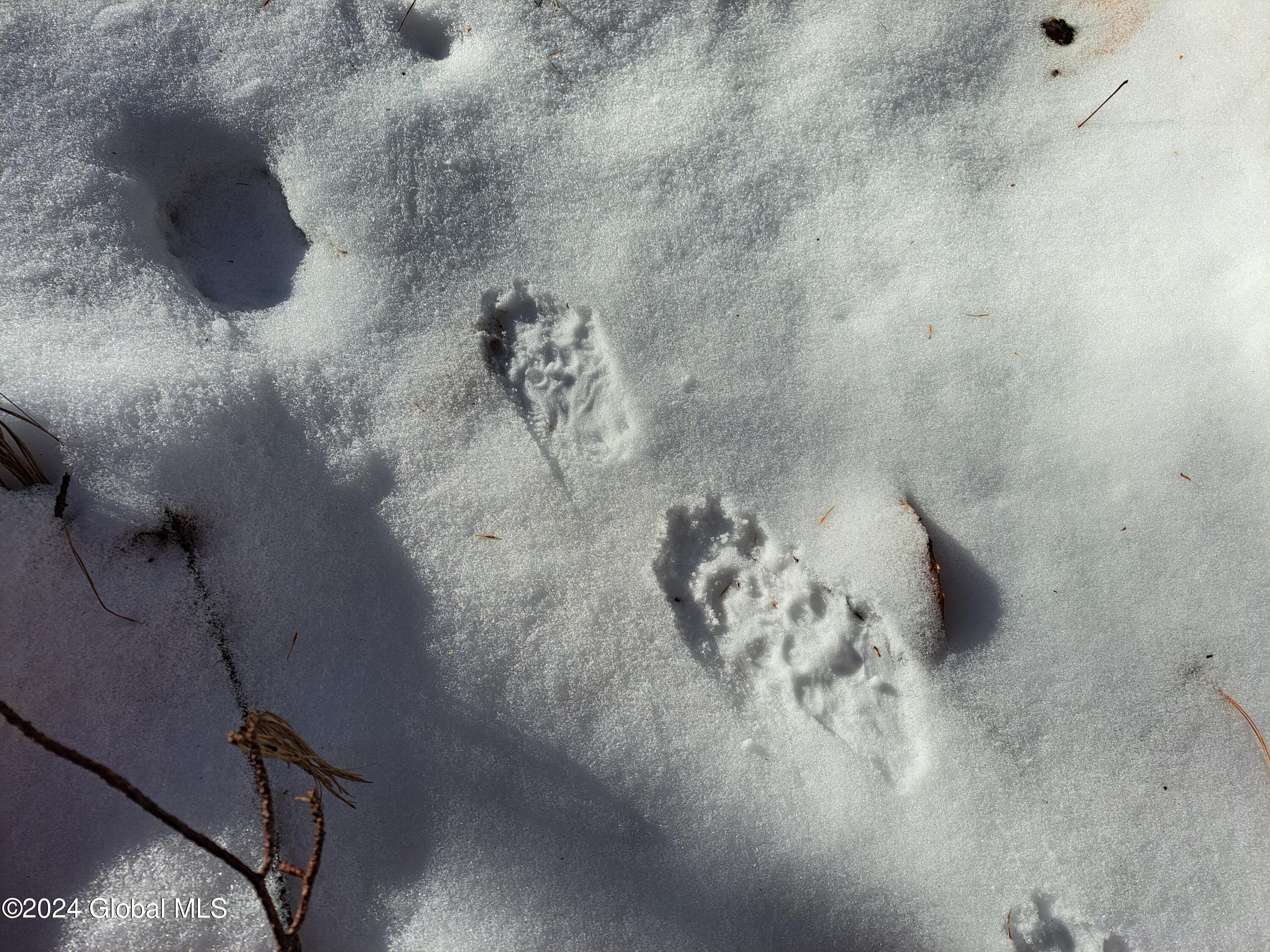 L17 Rice Road Northville, NY 12134 - Photo 9 of 51 09 Fisher Tracks