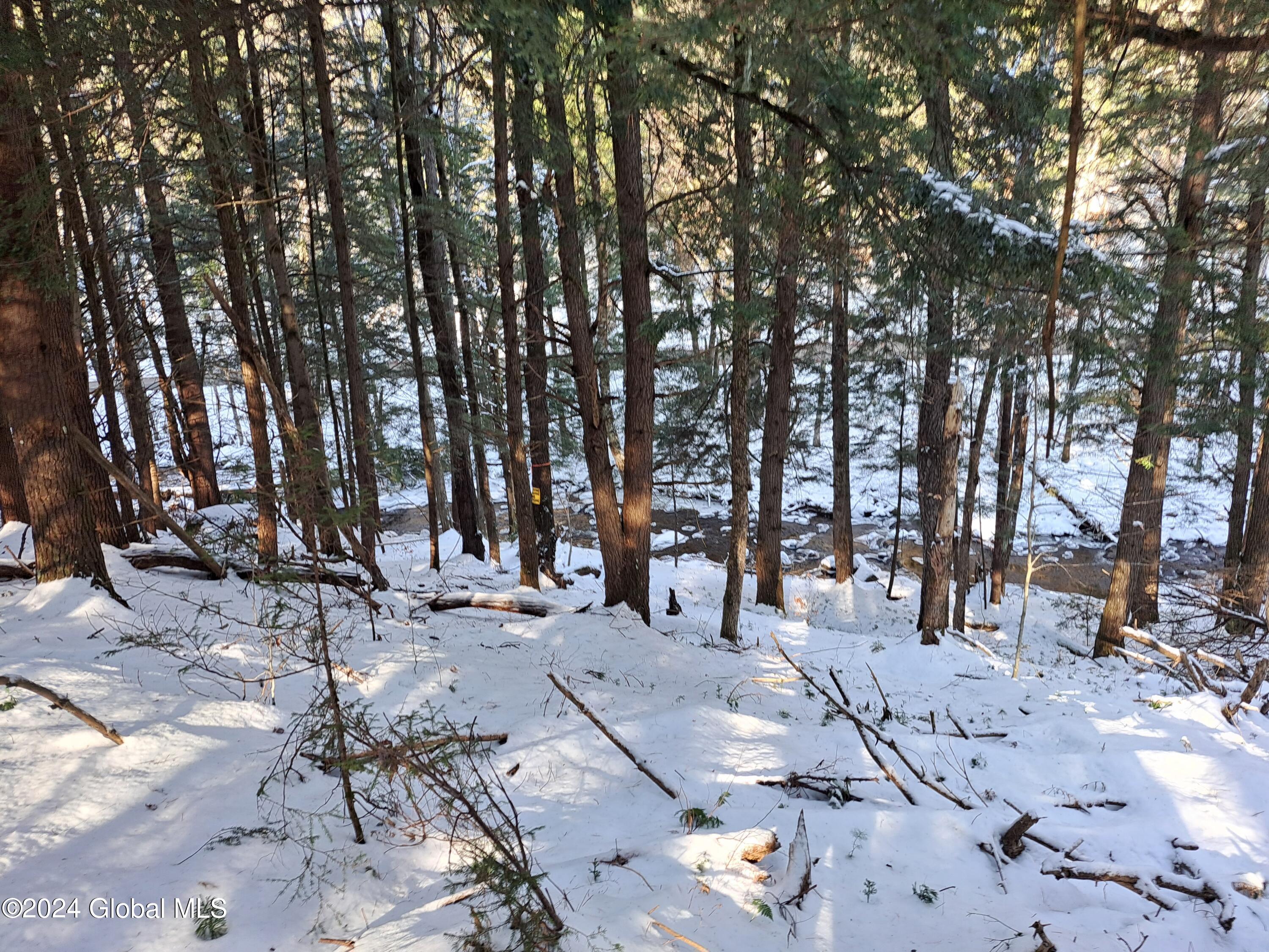 L17 Rice Road Northville, NY 12134 - Photo 10 of 51 10 From Height of Land, Bear Creek