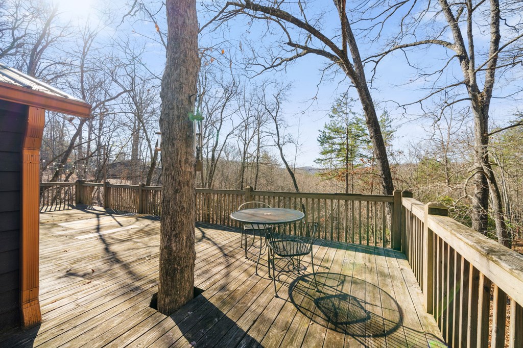 133 Conroy Street Blue Ridge, GA 30513 - Photo 24 of 28
