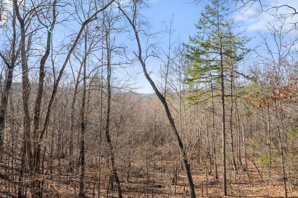 133 Conroy Street Blue Ridge, GA 30513 - Photo 26 of 28