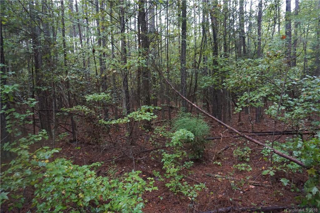 3-ac Wylies Mill Road, Unit 1 Edgemoor, SC 29712 - Photo 1 of 7 Gallery Image 1