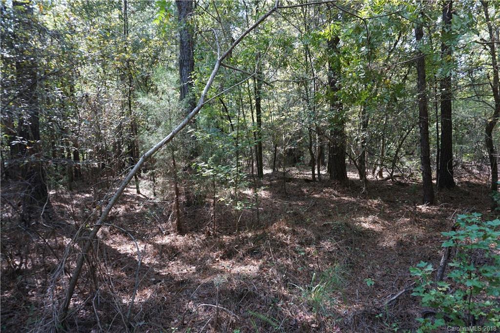 3-ac Wylies Mill Road, Unit 1 Edgemoor, SC 29712 - Photo 2 of 7 Gallery Image 2