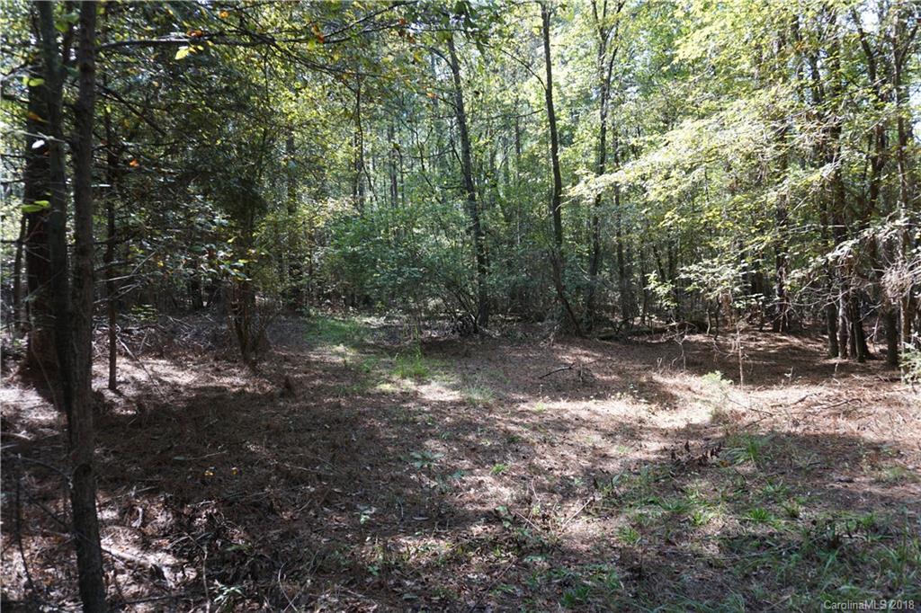 3-ac Wylies Mill Road, Unit 1 Edgemoor, SC 29712 - Photo 3 of 7 Gallery Image 3