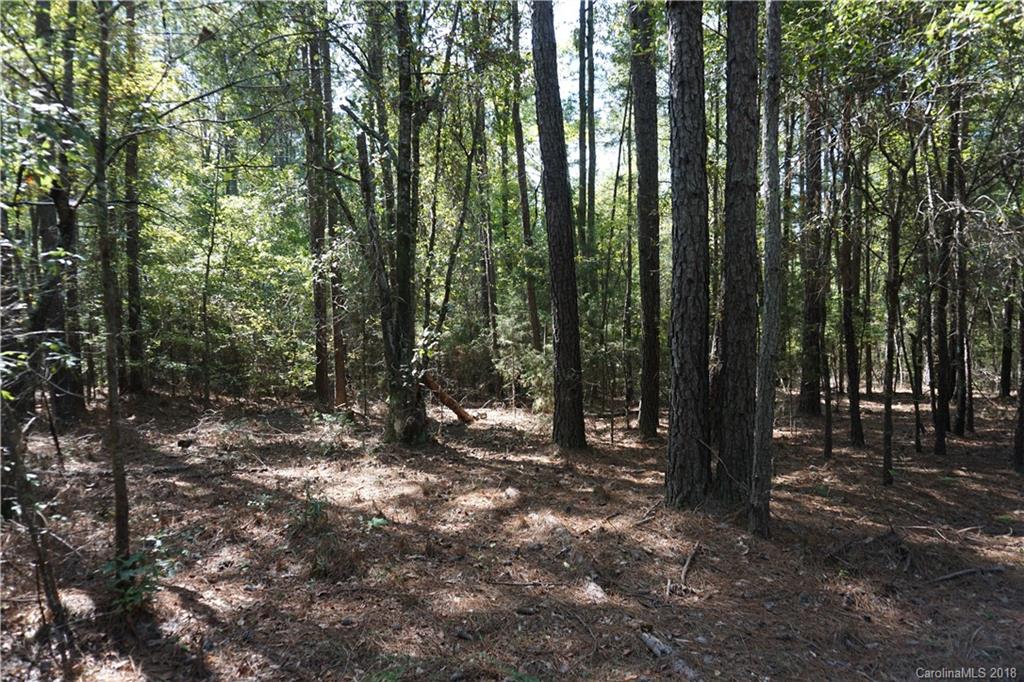 3-ac Wylies Mill Road, Unit 1 Edgemoor, SC 29712 - Photo 4 of 7 Gallery Image 4