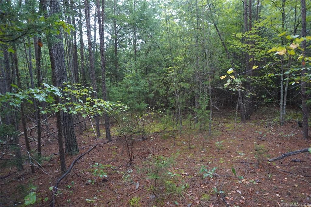 3-ac Wylies Mill Road, Unit 1 Edgemoor, SC 29712 - Photo 6 of 7 Gallery Image 6