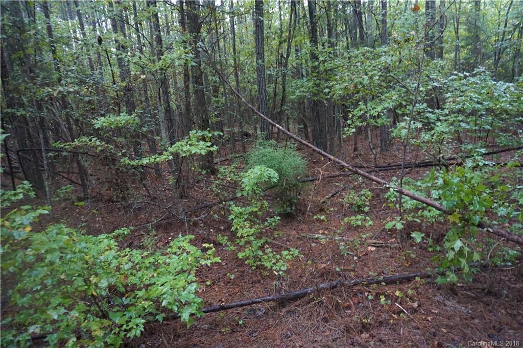 3-ac Wylies Mill Road, Unit 1 Edgemoor, SC 29712 - Photo 7 of 7 Gallery Image 7