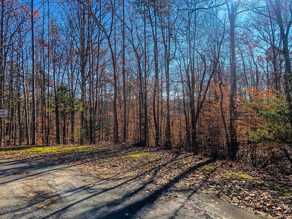 Briery Road, Unit 9 Farmville, VA 23901 - Photo 1 of 6 Gallery Image 1