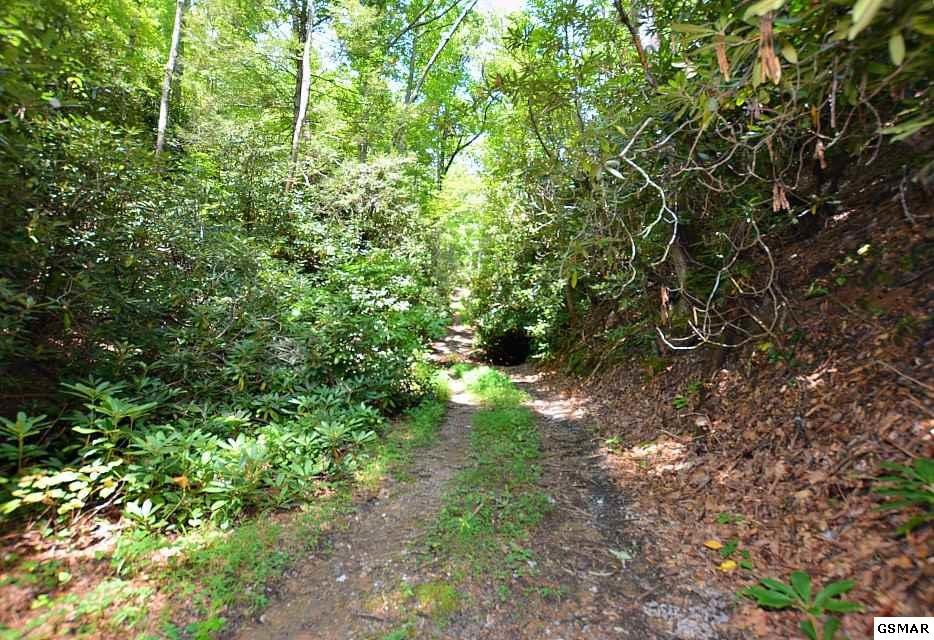 68 Big Bear Ridge Road Sevierville, TN 37876 - Photo 5 of 15 Gallery Image 5