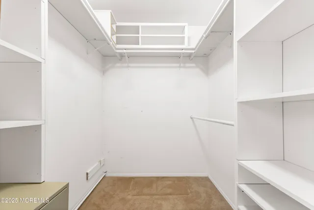 a bathroom with a shower and a sink