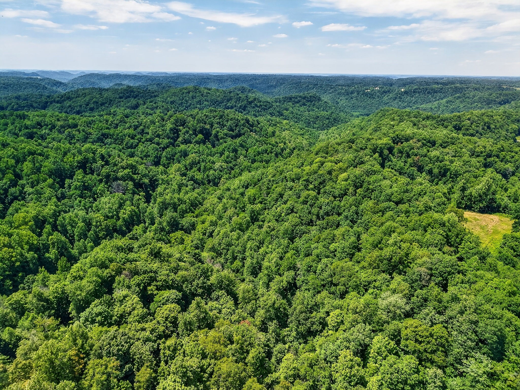 2926 Bryant Ridge Road Baxter, TN 38544 - Photo 45 of 64