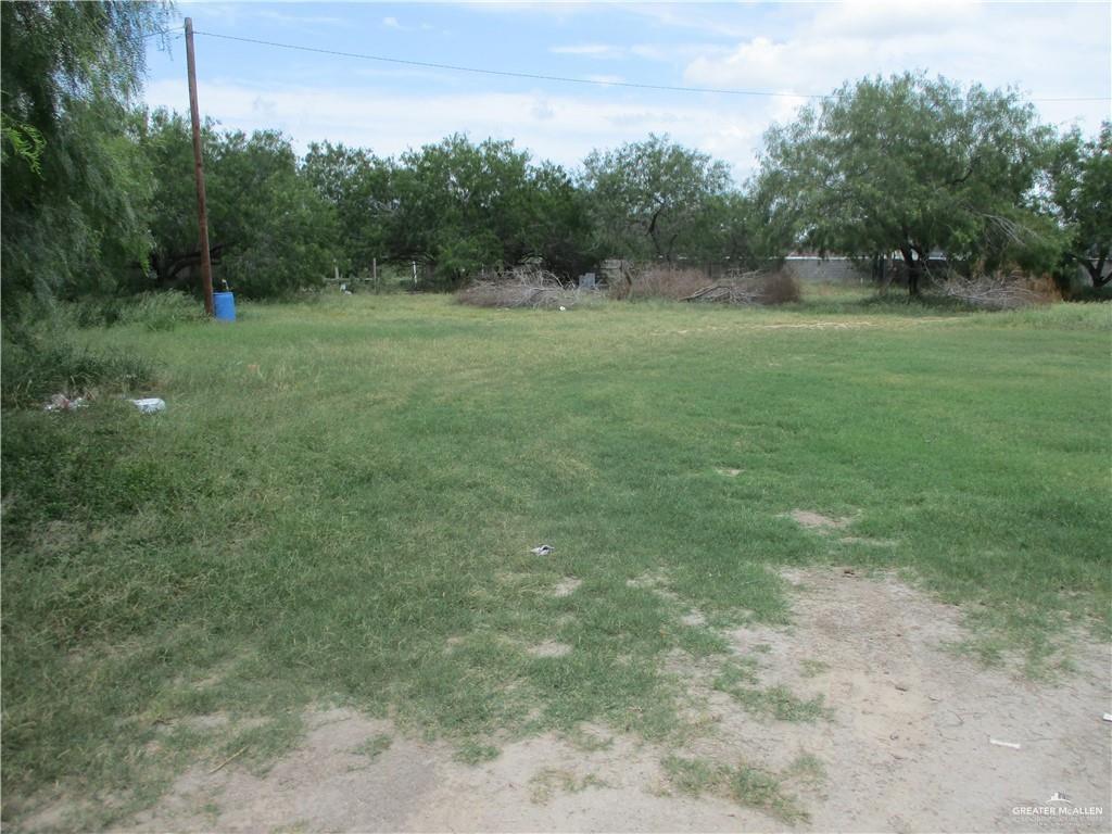 1303 West Mile 17 1/2 Road Edinburg, TX 78541 - Photo 3 of 6