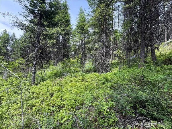 $59,900 | 0 Mule Deer Road, Republic, WA 99166