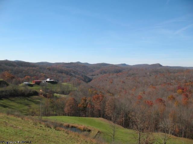 1845 Old Turnpike Road Sutton, WV 26601 - Photo 2 of 14 Gallery Image 2