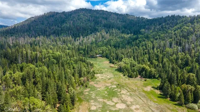 a view of a lake with a yard and large trees