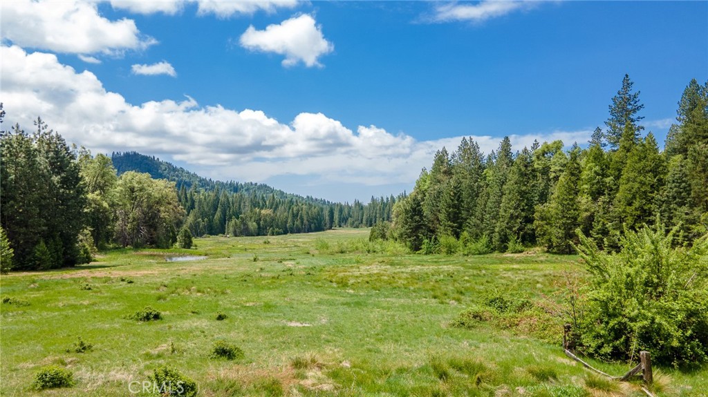 5657 Worman Road Ahwahnee, CA 93601 - Photo 27 of 40 a view of outdoor space with green field and trees all around