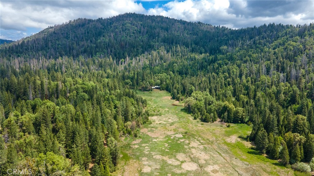 5657 Worman Road Ahwahnee, CA 93601 - Photo 28 of 40 a view of a garden with a tree