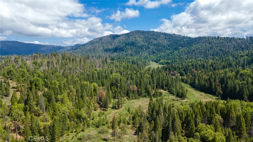 5657 Worman Road Ahwahnee, CA 93601 - Photo 31 of 40 a view of a city with lush green forest