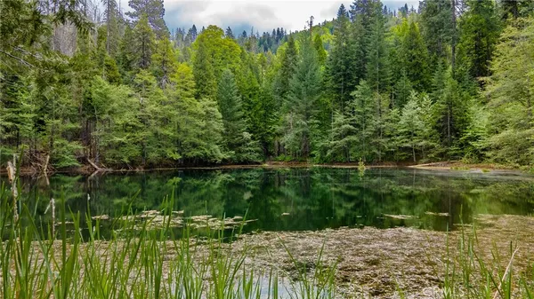 $3,750,000 | 5657 Worman Road, Ahwahnee, CA 93601
