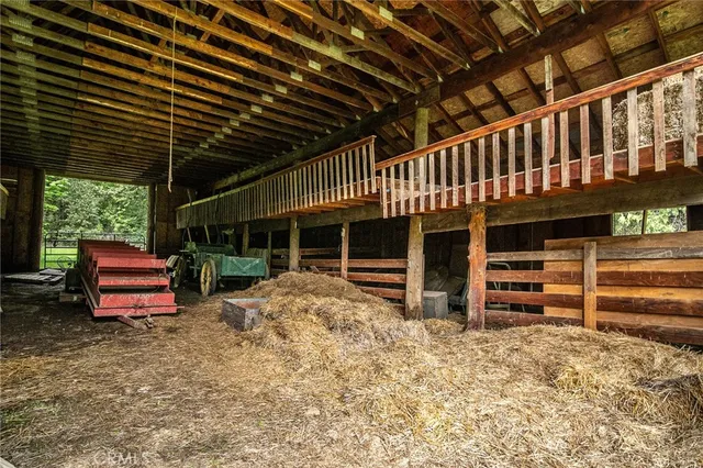 a view of a garden with a tree