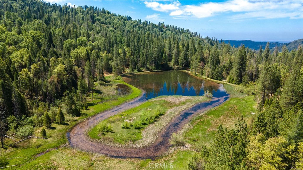 5657 Worman Road Ahwahnee, CA 93601 - Photo 35 of 46 a view of a lake with a yard and large trees
