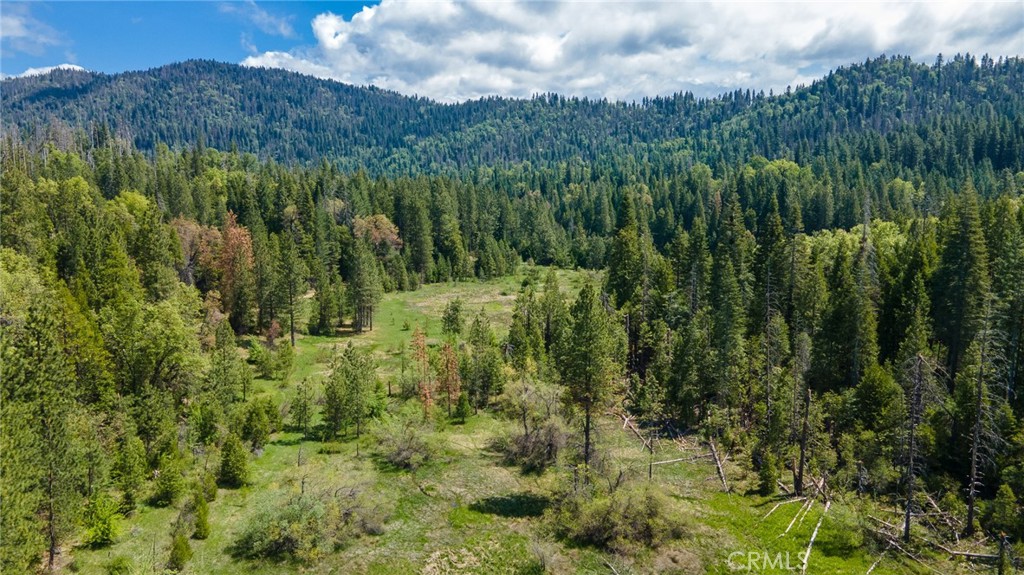 5657 Worman Road Ahwahnee, CA 93601 - Photo 36 of 40 a view of a green field with lots of bushes