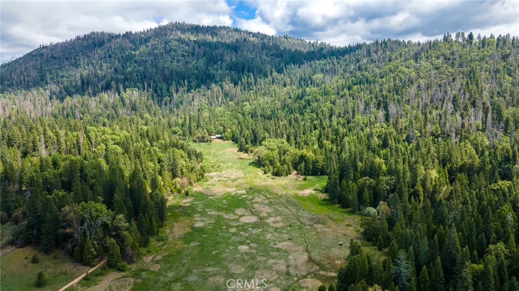 5657 Worman Road Ahwahnee, CA 93601 - Photo 40 of 46 a view of a lush green forest with trees and some plants and a wooden fence